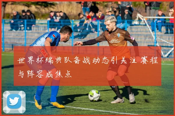 世界杯瑞典队备战动态引关注 赛程与阵容成焦点
