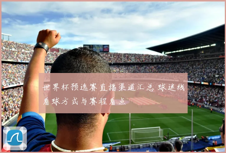 世界杯预选赛直播渠道汇总 球迷线看球方式与赛程看点