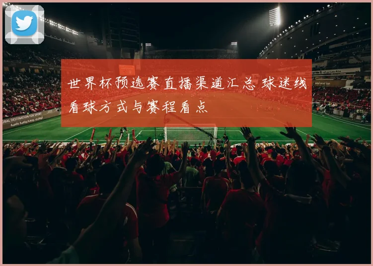 世界杯预选赛直播渠道汇总 球迷线看球方式与赛程看点